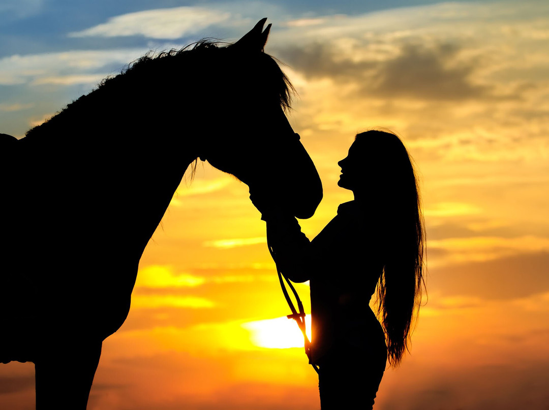 Horse hurghada-赫尔格达必去景点