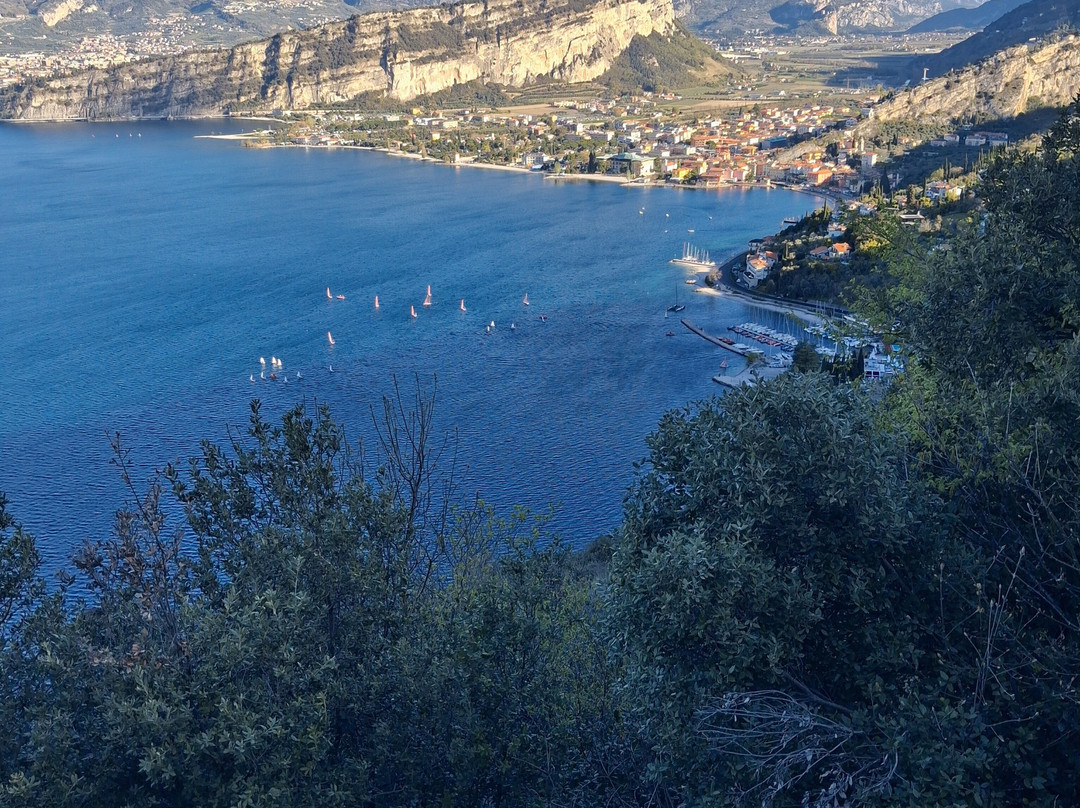 Sentiero panoramico Busatte Tempesta-托尔博莱必去景点