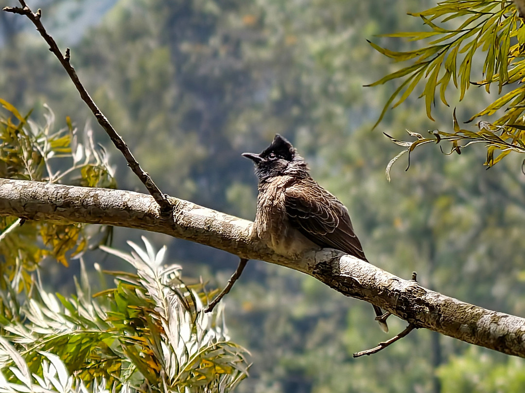 Ceylon Master Tours-Waskaduwa必去景点