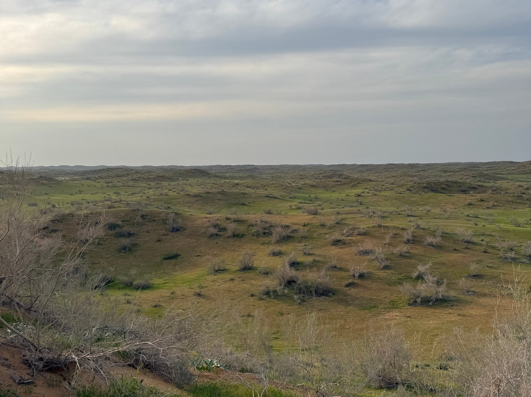 Nurata Tours-Nurata必去景点