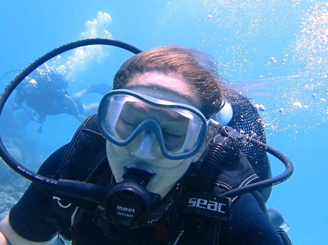 Dive Spirit Mauritius-卓欧毕雪必去景点