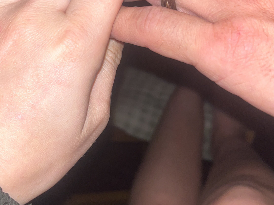 Tanjung Puting Borneo Tour-Pangkalan Bun必去景点