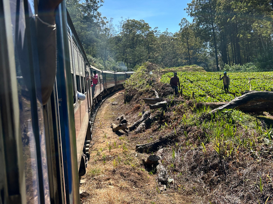 Sri Lankan Kemi Tours-卡图纳耶克必去景点