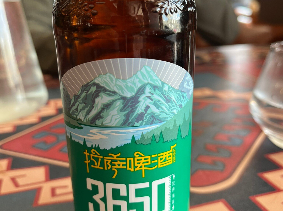 Xizang Vista-拉萨市必去景点