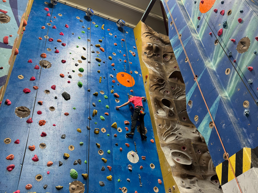 Summit Centre Climbing Wall-Trelewis必去景点