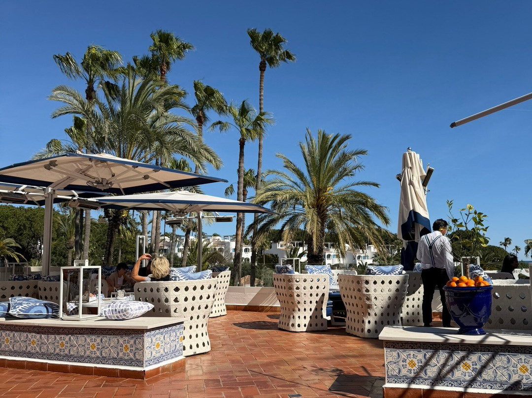 维拉维塔公园水疗度假村主图