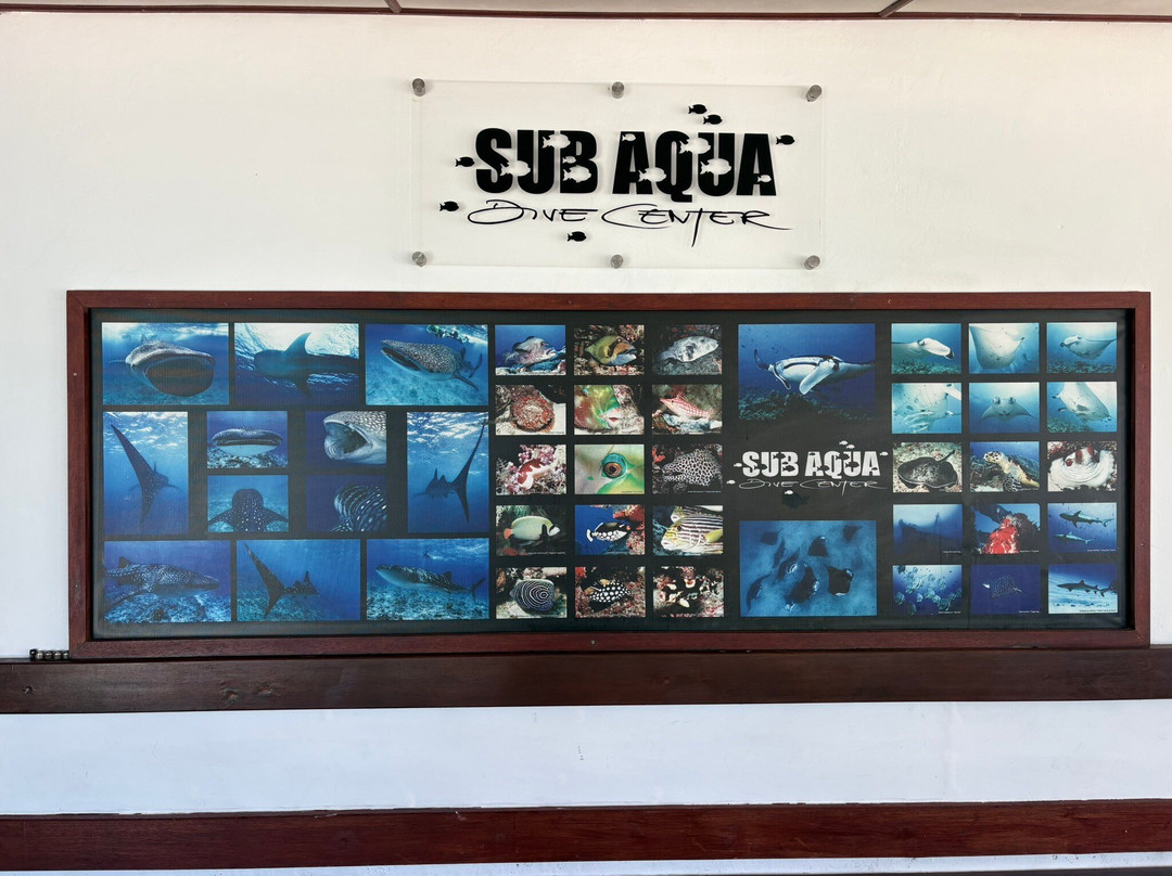 SUB AQUA DiveCenter Angaga