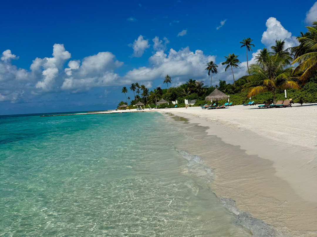 Atmosphere 卡尼富士度假村主图