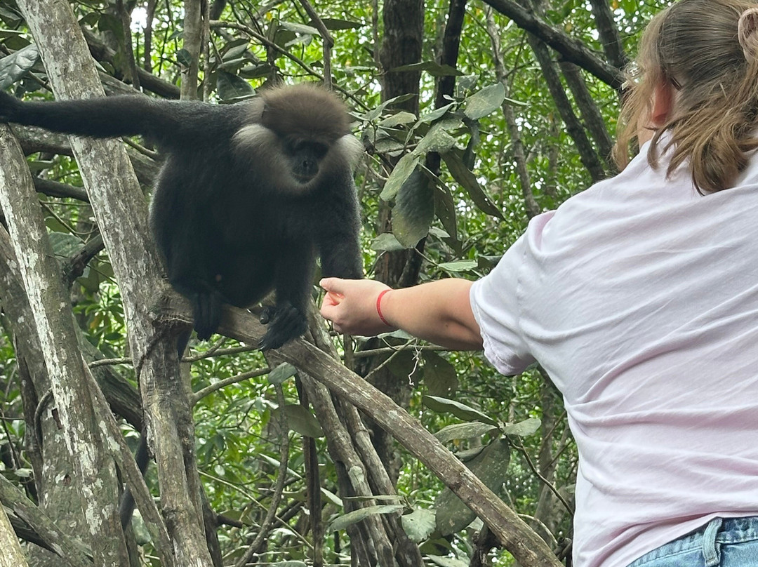Charli Tours-亚洪加拉必去景点