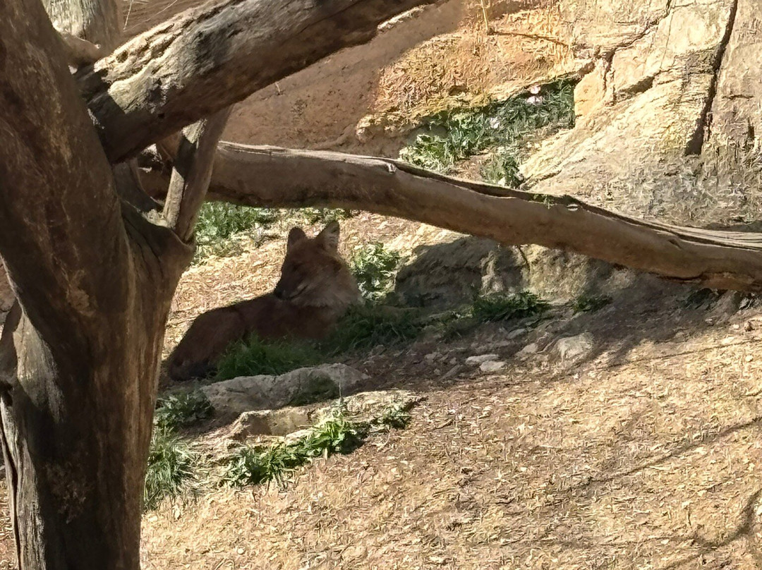 Terra Natura Benidorm-贝尼多姆必去景点