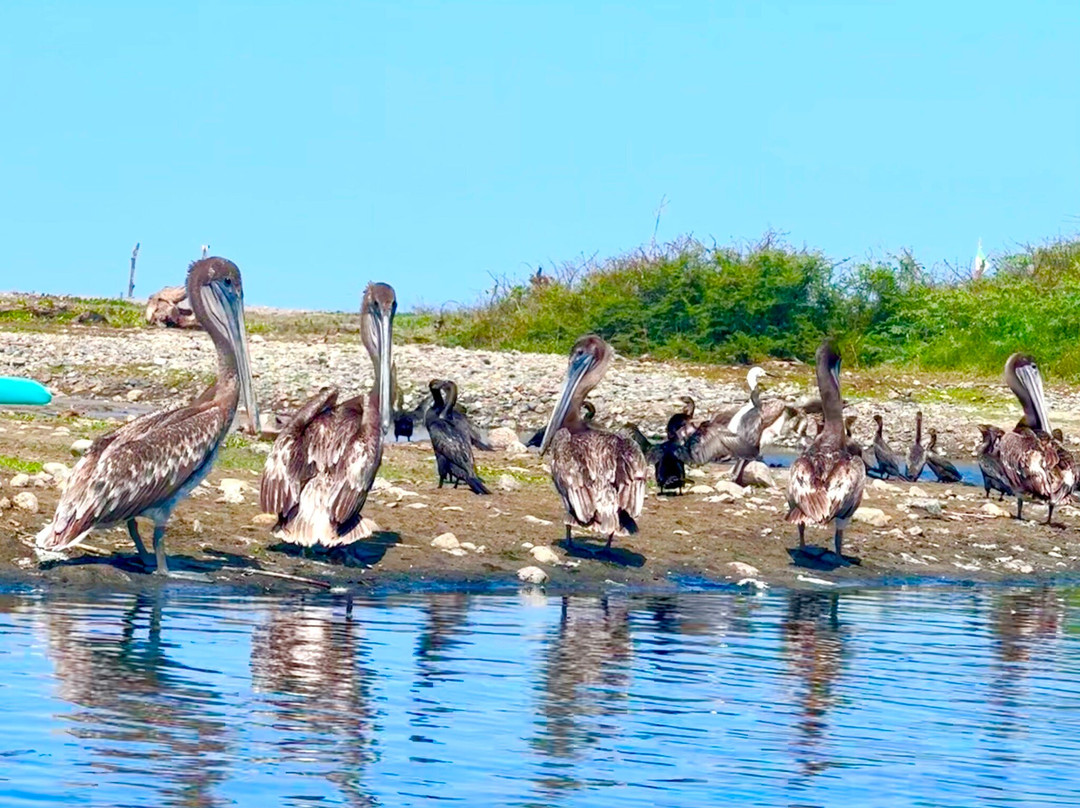 Costa Nativa Ecotours-Troncones必去景点