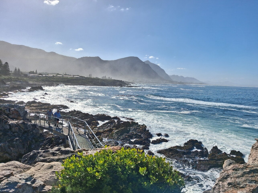 Hermanus Cliff Path-赫曼努斯必去景点