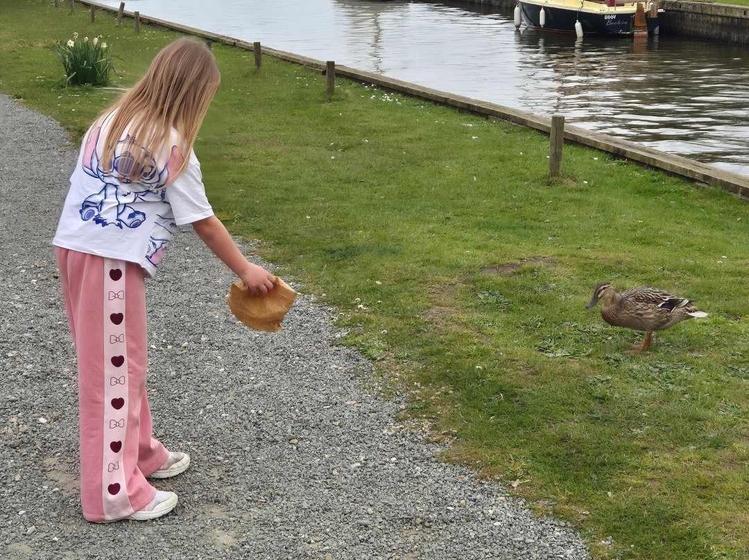 Martham Ferry Day Boat Hire-Martham必去景点