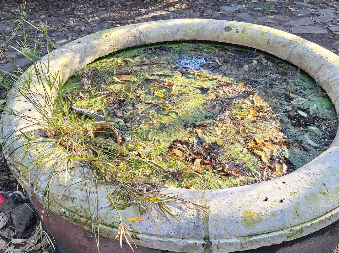 特里尼塔公寓酒店主图