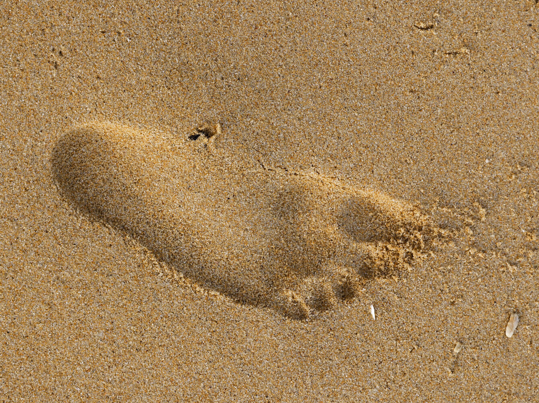 法亚马斯私人海滩度假村 - 仅限成人入住主图