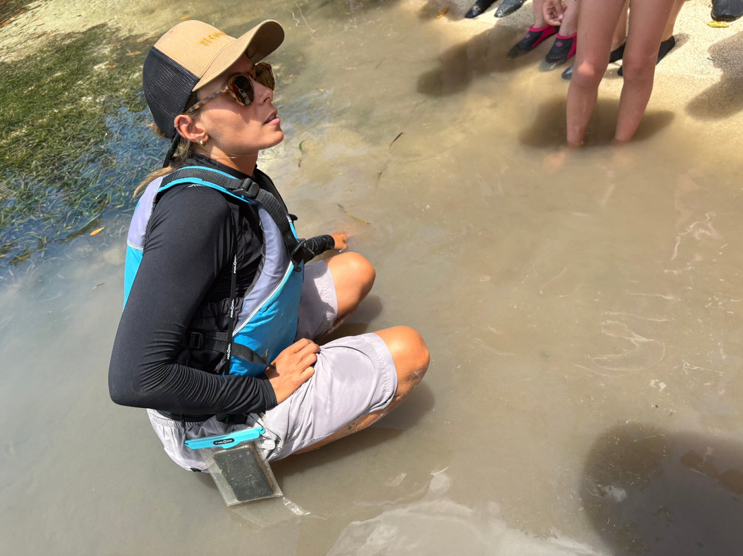 TI-Evasion Kayak de mer en Guadeloupe-Pointe-a-Pitre必去景点