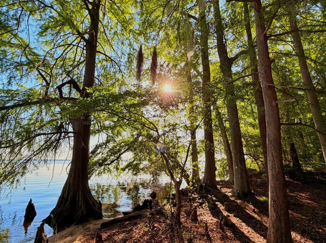 Santee State Park-Santee必去景点