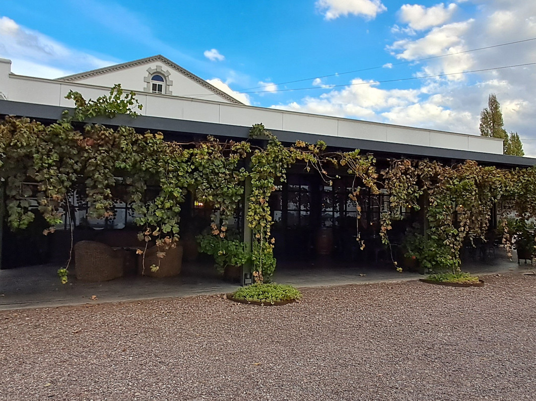 Altieri Wines - Vinorum-路冉得库约必去景点