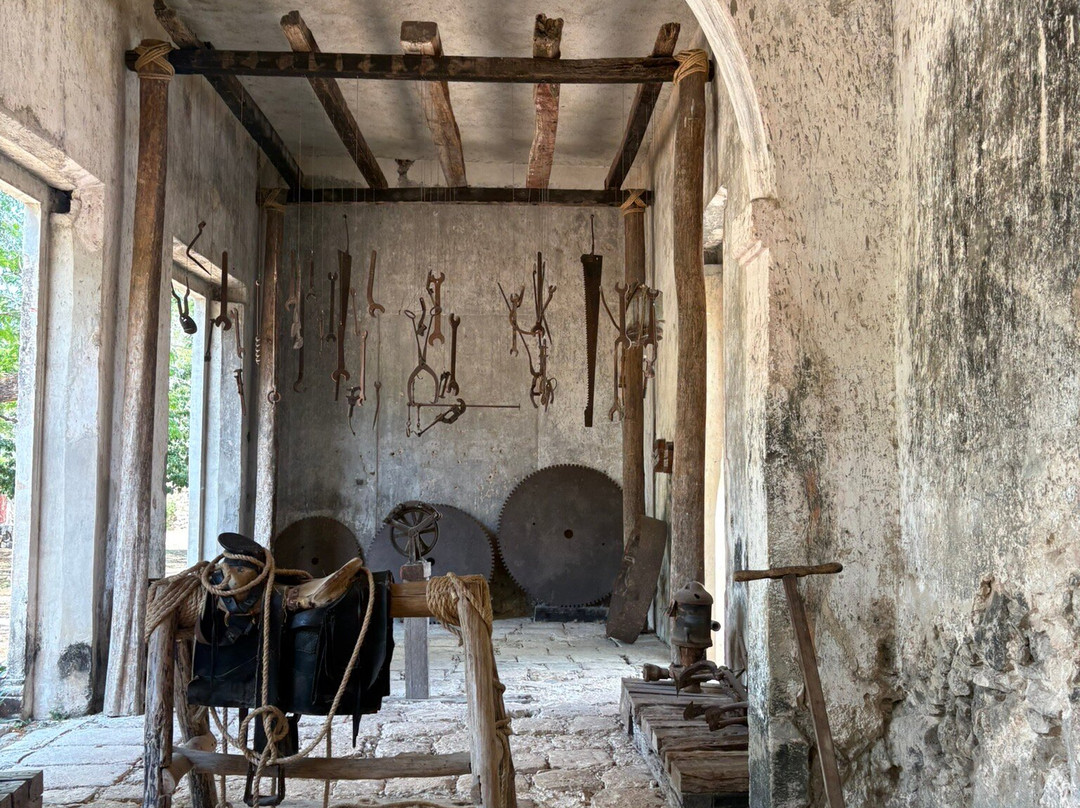 Cenotes Hacienda Mucuyche-Mucuyche必去景点