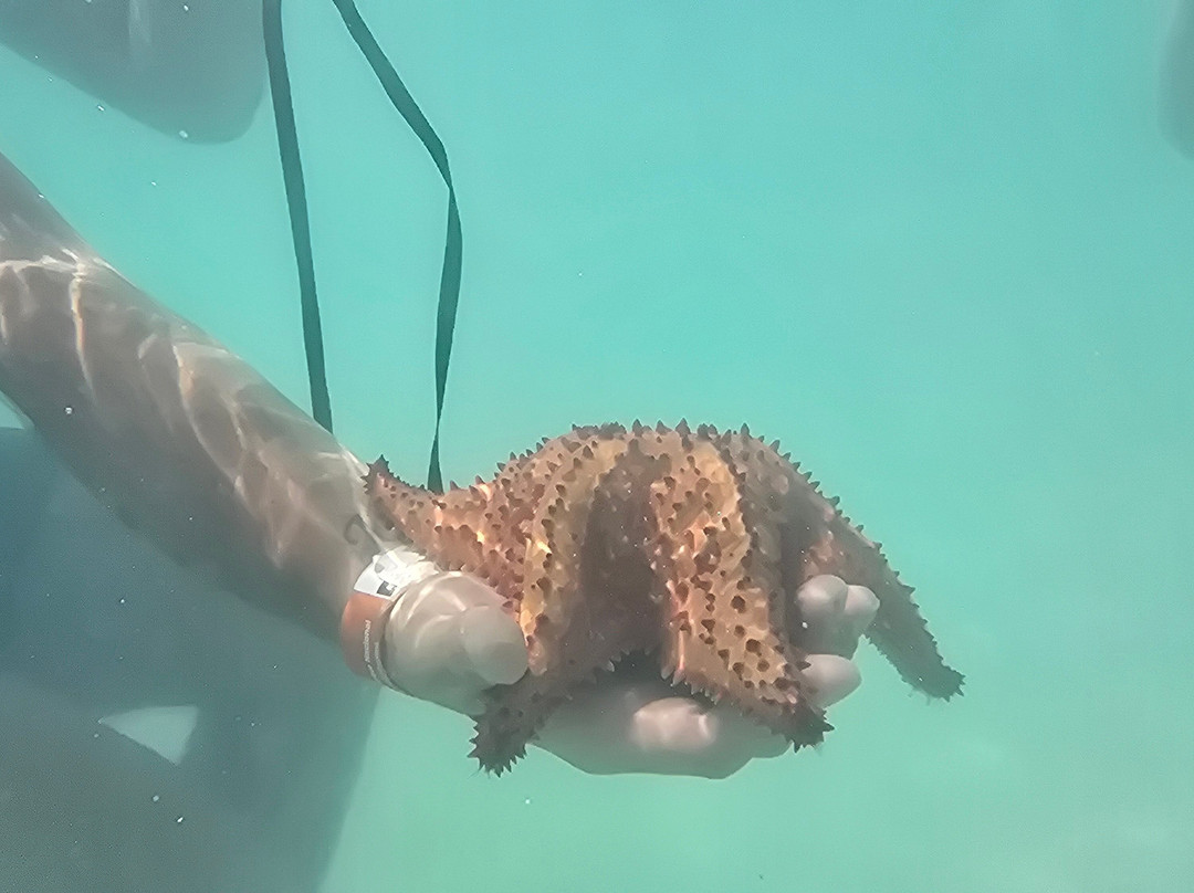 Italcruise-Bayahibe必去景点