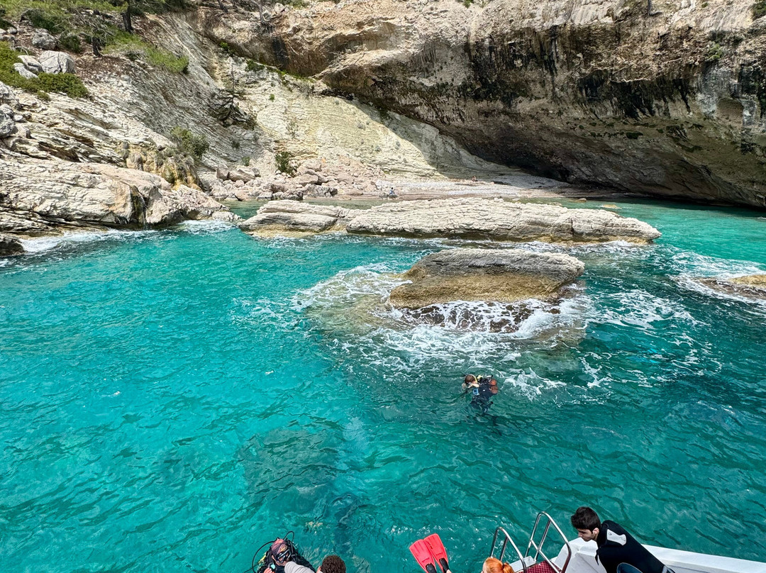 Octopus Diving Center-凯梅尔必去景点