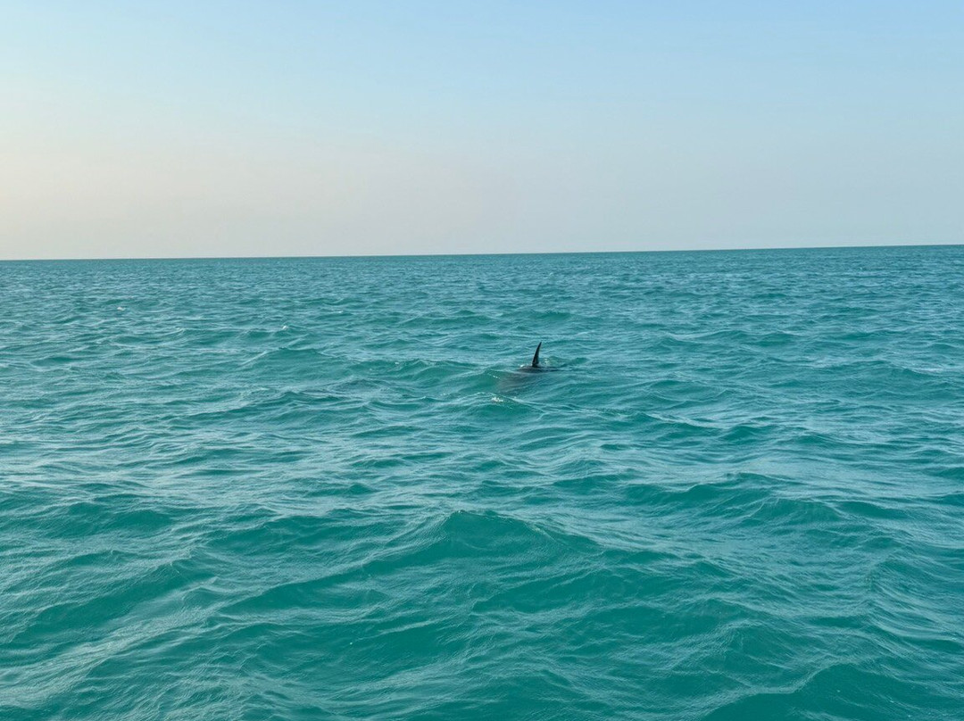 My Holbox Tours-Holbox必去景点