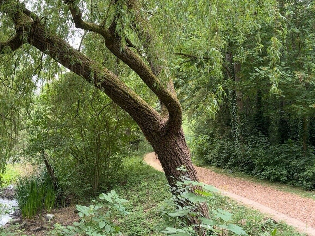 Parc floral de la Roseraie-普瓦捷必去景点