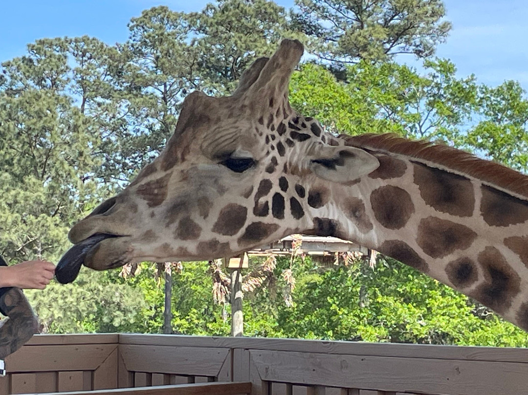 Broadway Zoological Park-Broadway必去景点