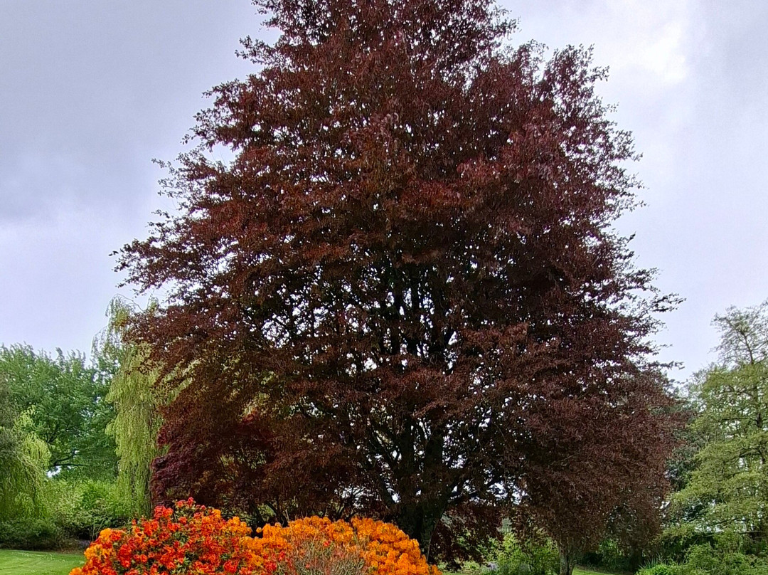 Cappoquin House Gardens-Cappoquin必去景点