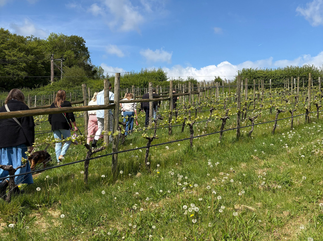 Woodchester Valley Vineyard-斯特劳德必去景点