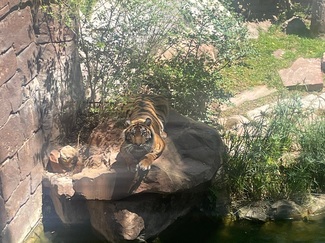 Bioparc Fuengirola-福恩吉罗拉必去景点