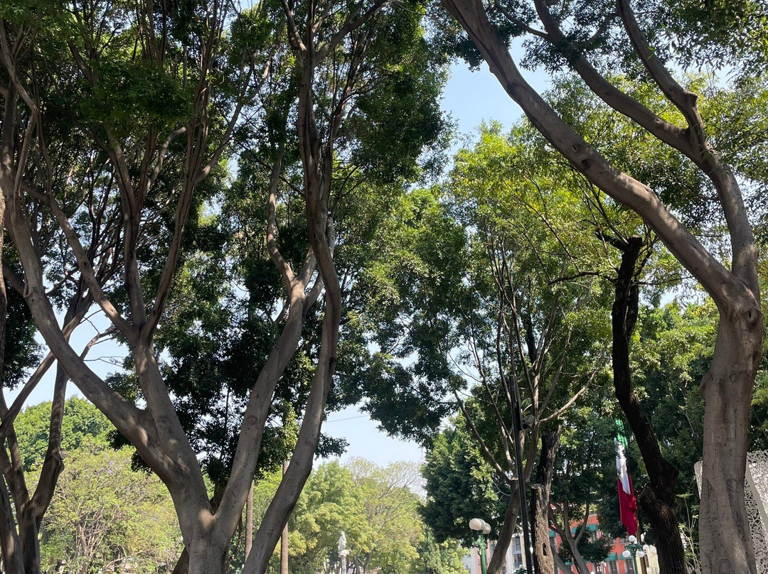 Zócalo de Puebla-普埃布拉必去景点