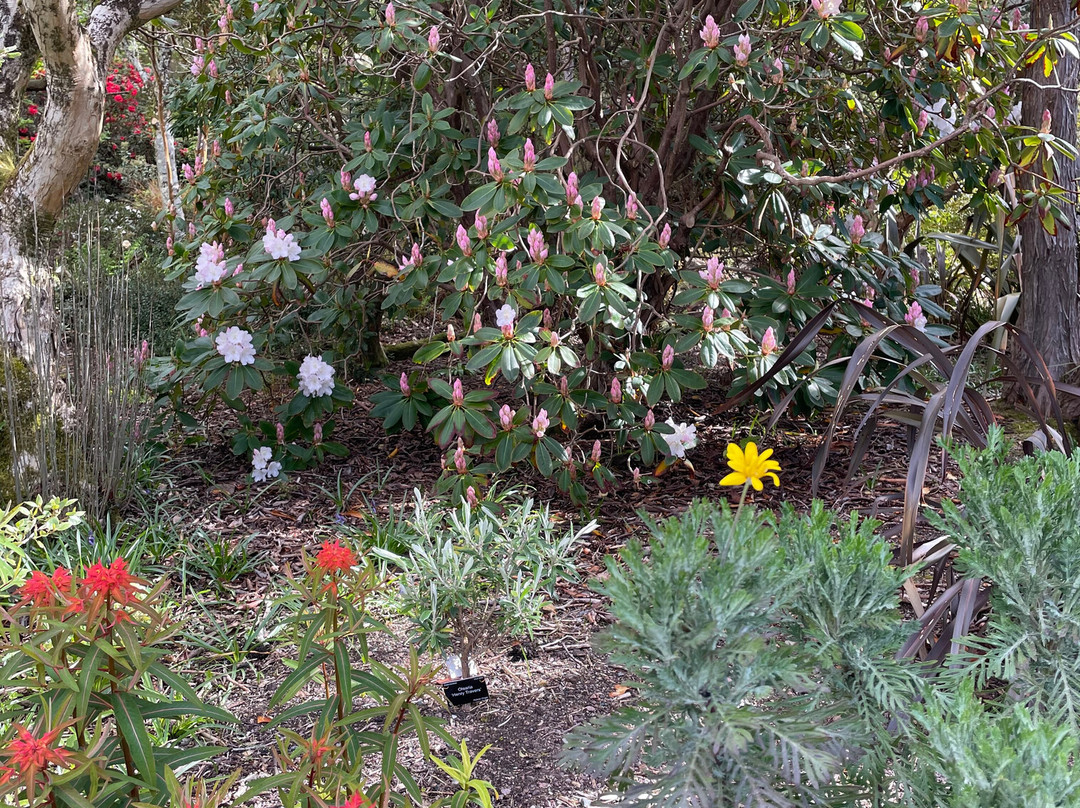 Inverewe Garden-Poolewe必去景点