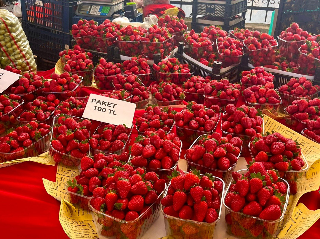 Fethiye Market-费特希耶必去景点