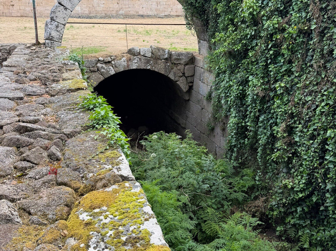 Ponte Fortificada de Ucanha-Tarouca必去景点