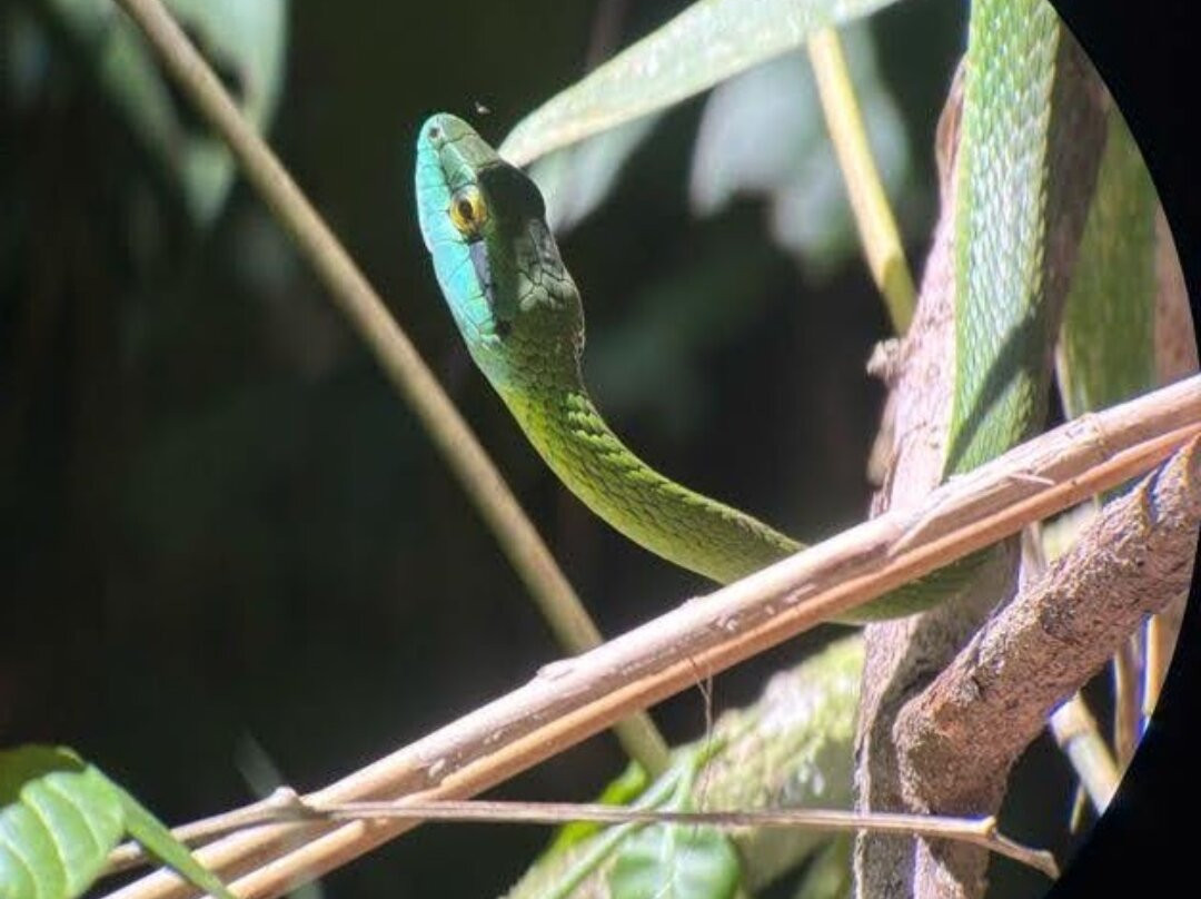 Manuel Antonio Expeditions-哥斯达黎加安东尼奥国家公园必去景点