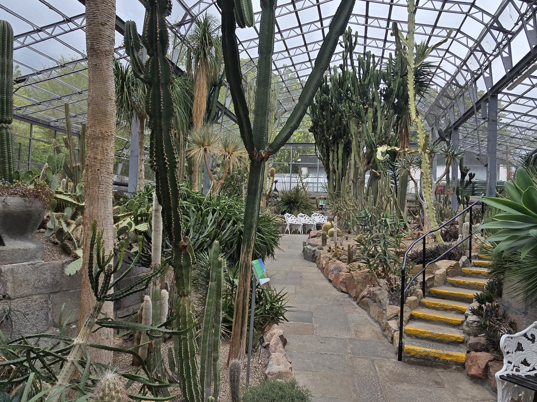 Duthie Park Winter Gardens-阿伯丁必去景点
