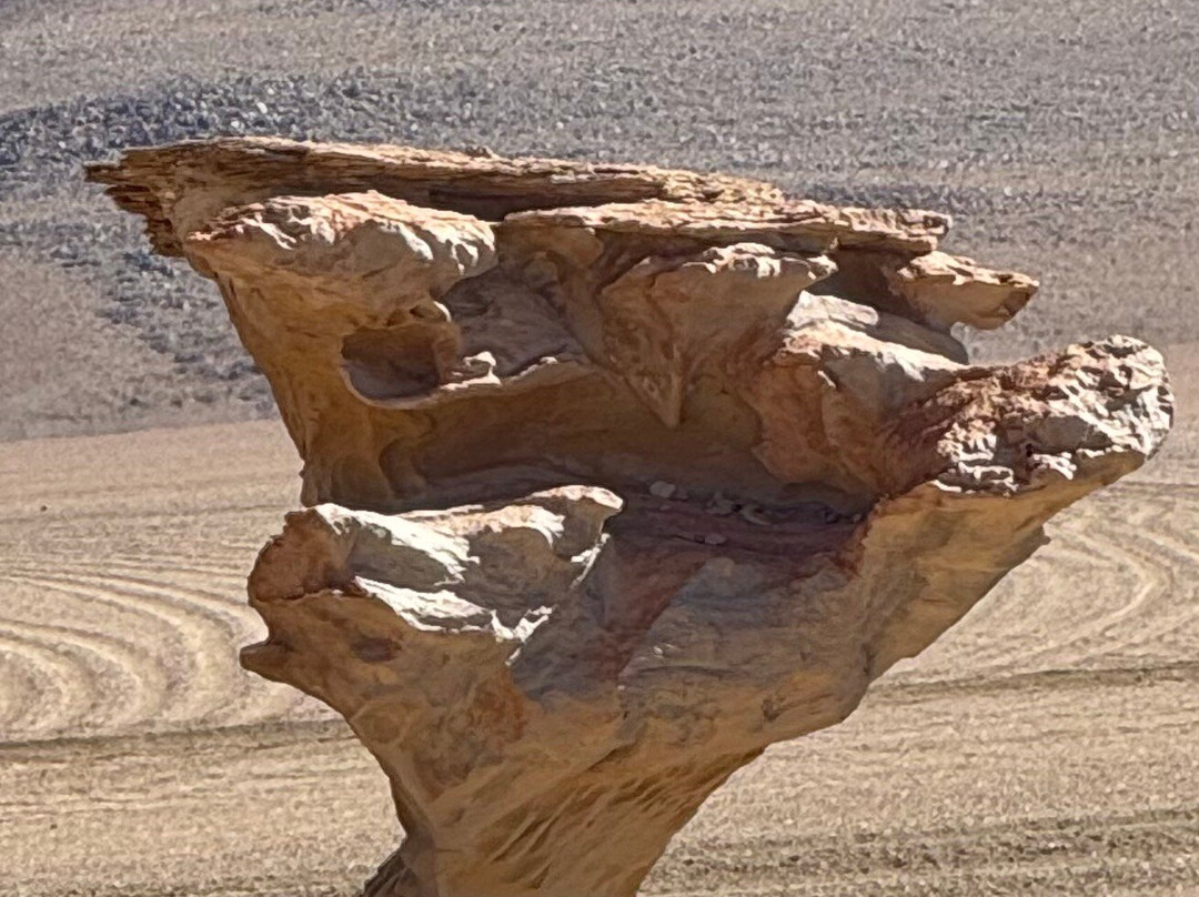 Arbol de Piedra-乌尤尼必去景点