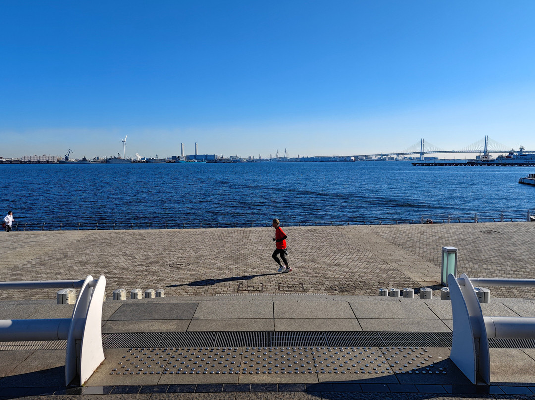 Pacifico Yokohama Rinko Park-Minatomirai必去景点