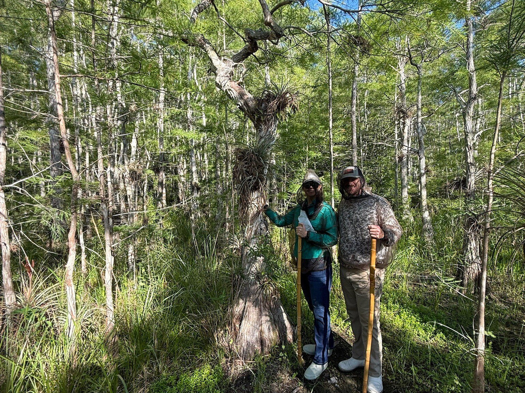 Clyde Butcher's Big Cypress Gallery-奥乔皮必去景点
