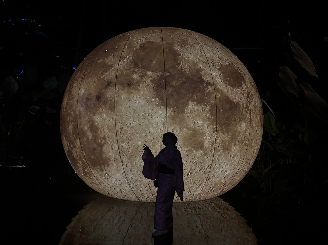 Hikaria: Bali's First Immersive Night Walk-Tegallalang必去景点