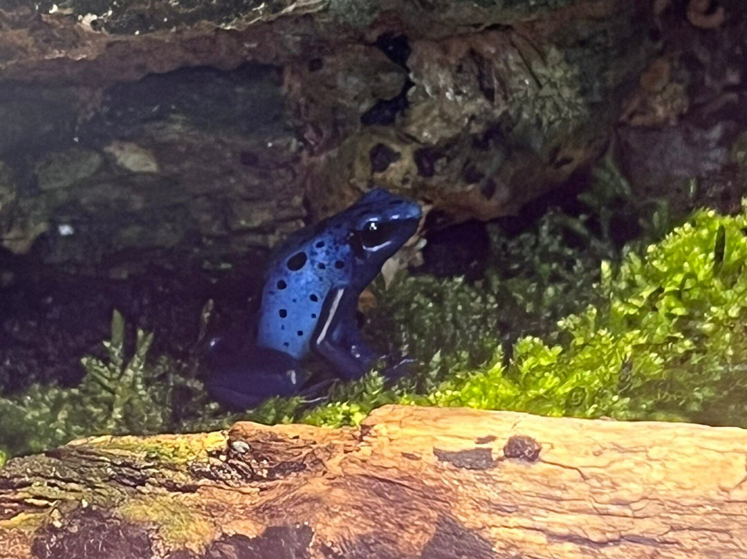 Lakeland Wildlife Oasis-Milnthorpe必去景点