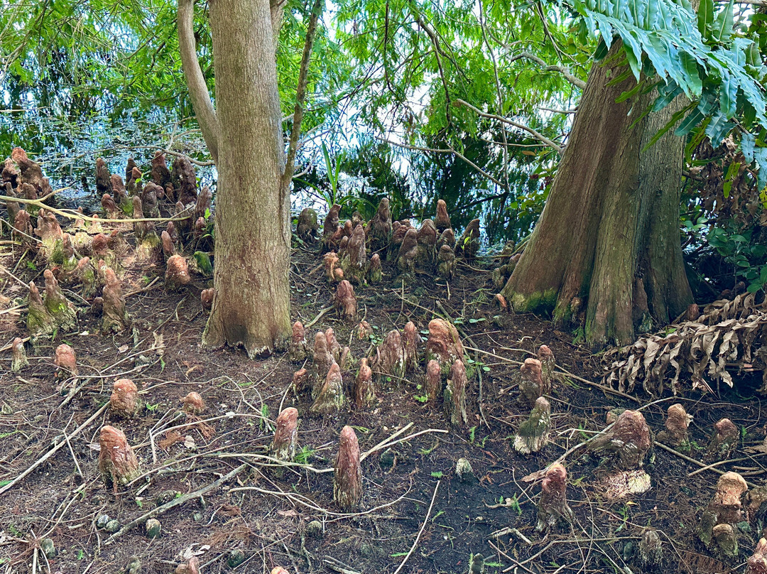 Green Cay Nature Center and Wetlands-博因顿海滩必去景点