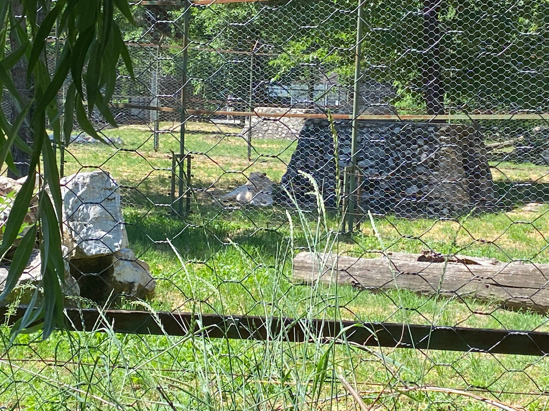 Skopje ZOO-斯科普里必去景点