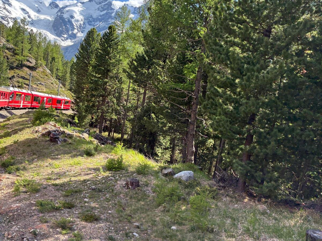 Morteratsch Glacier-Pontresina必去景点