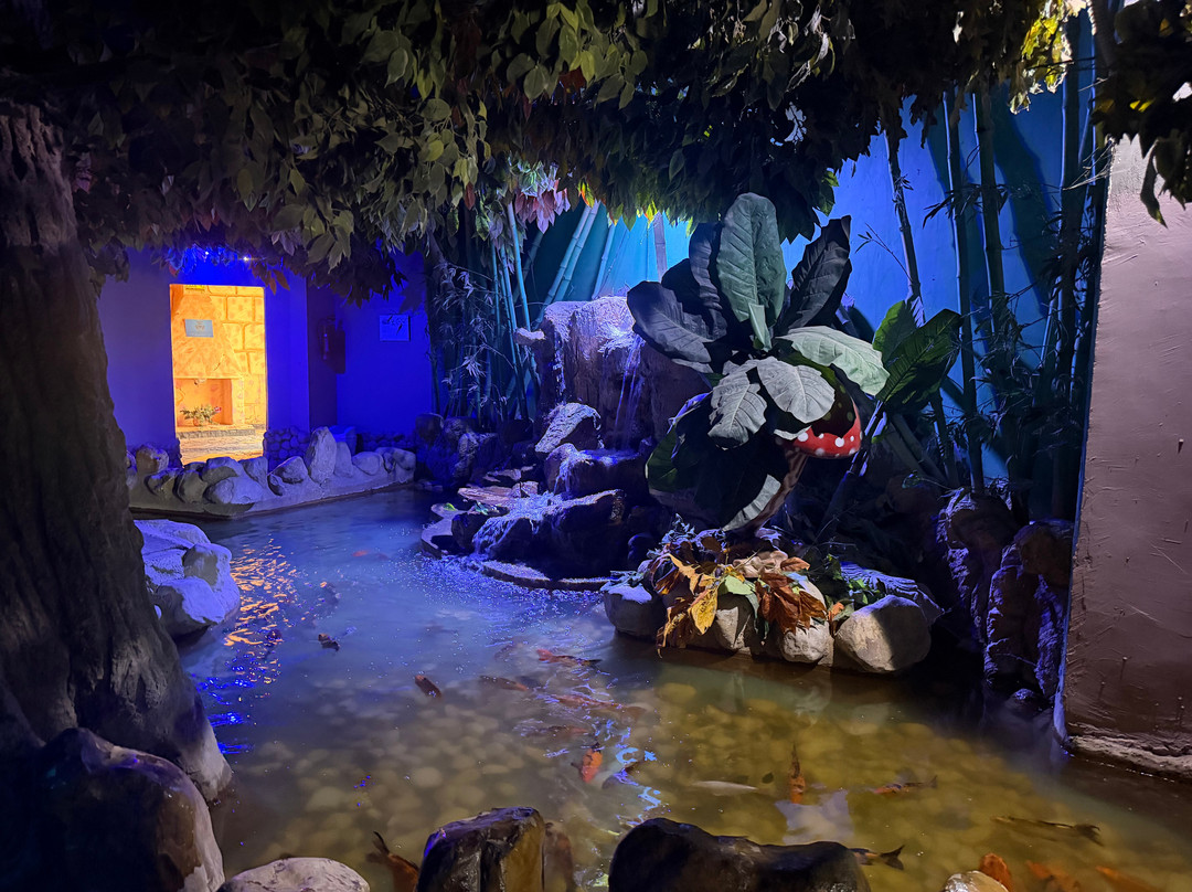 Hurghada Grand Aquarium-赫尔格达必去景点