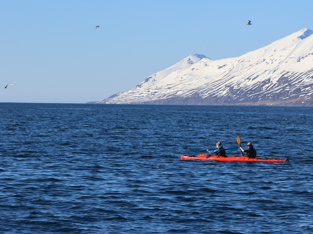 North Fjord Kayak - Tandem Sea Kayak Tours