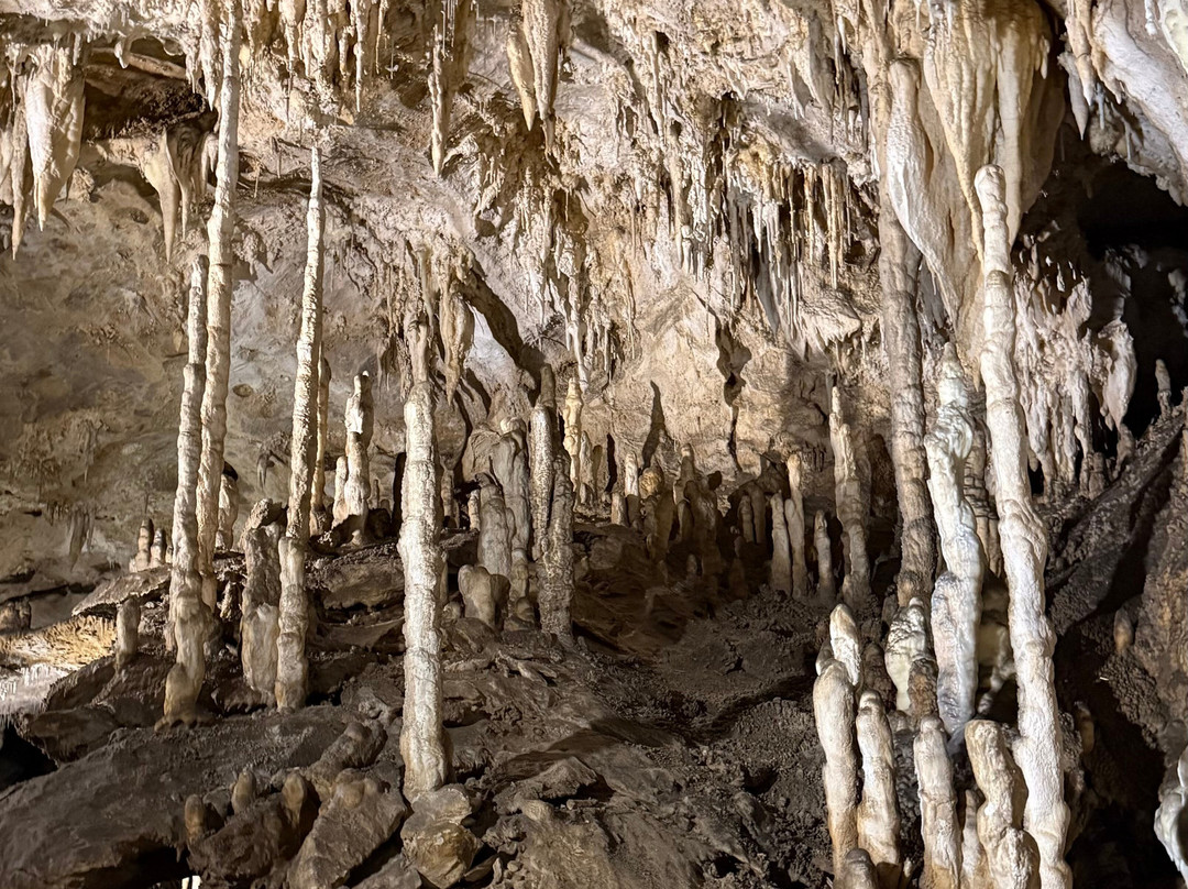 Grotta Antro del Corchia-Levigliani必去景点