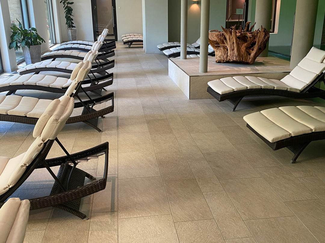 Waldhotel Grüner Baum主图