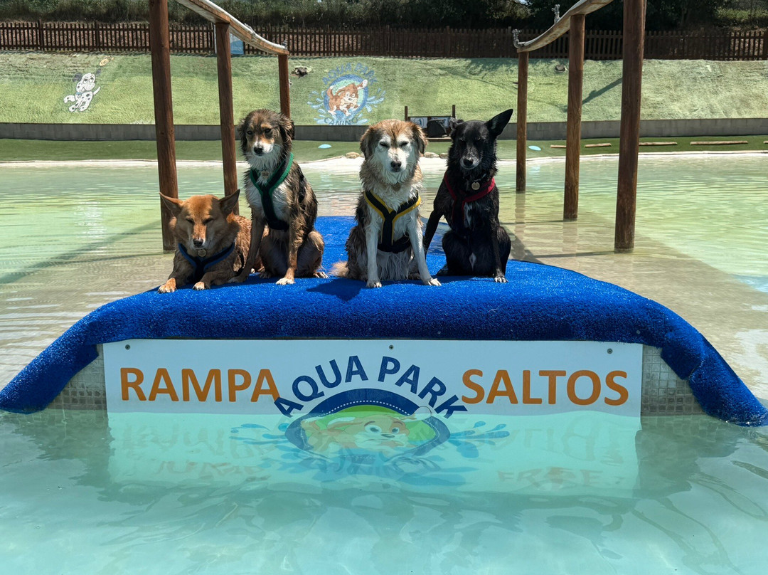 Aquapark Canino Perros Al Agua-拉罗卡德尔瓦列斯必去景点